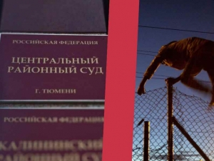 Обложка новости За побег со сборного пункта призывника в Тюмени оштрафовали на 15 тысяч рублей
